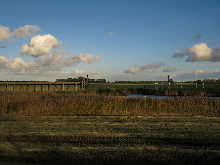 View of the former dock